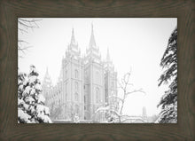 Load image into Gallery viewer, Salt Lake City High Key Snow