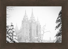 Load image into Gallery viewer, Salt Lake City High Key Snow
