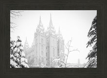 Load image into Gallery viewer, Salt Lake City High Key Snow