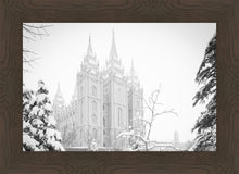 Load image into Gallery viewer, Salt Lake City High Key Snow