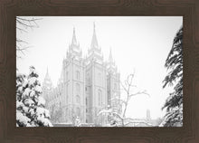 Load image into Gallery viewer, Salt Lake City High Key Snow