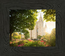 Load image into Gallery viewer, Salt Lake - The Lord is My Light