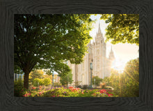 Load image into Gallery viewer, Salt Lake - The Lord is My Light