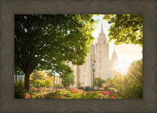 Load image into Gallery viewer, Salt Lake - The Lord is My Light
