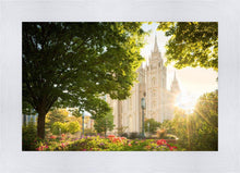 Load image into Gallery viewer, Salt Lake - The Lord is My Light