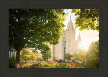 Load image into Gallery viewer, Salt Lake - The Lord is My Light