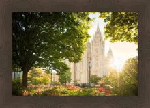 Load image into Gallery viewer, Salt Lake - The Lord is My Light