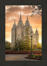 Load image into Gallery viewer, Salt Lake - The Promise