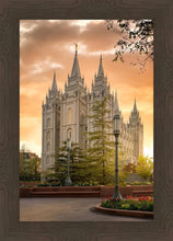 Load image into Gallery viewer, Salt Lake - The Promise