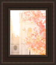 Load image into Gallery viewer, Salt Lake Blossom Glow