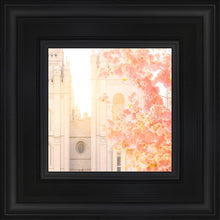 Load image into Gallery viewer, Salt Lake Blossom Glow
