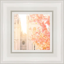 Load image into Gallery viewer, Salt Lake Blossom Glow