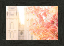Load image into Gallery viewer, Salt Lake Blossom Glow