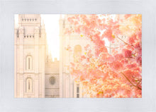 Load image into Gallery viewer, Salt Lake Blossom Glow