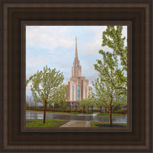 Load image into Gallery viewer, Oquirrh Mountain Rainfall