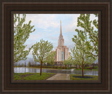 Load image into Gallery viewer, Oquirrh Mountain Rainfall