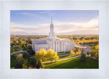 Load image into Gallery viewer, Golden Timpanogos