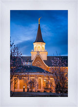 Load image into Gallery viewer, Provo City Center Blue and Gold