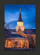 Load image into Gallery viewer, Provo City Center Blue and Gold