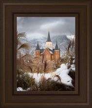 Load image into Gallery viewer, Provo City Center Winter Warmth