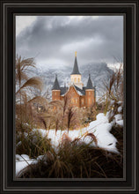 Load image into Gallery viewer, Provo City Center Winter Warmth