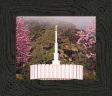Load image into Gallery viewer, Provo Oncoming Storm