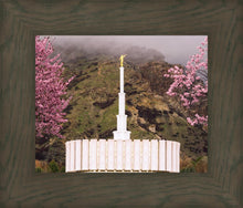 Load image into Gallery viewer, Provo Oncoming Storm