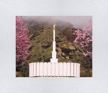 Load image into Gallery viewer, Provo Oncoming Storm