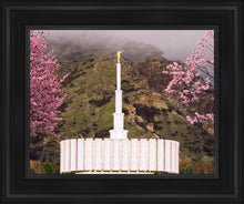 Load image into Gallery viewer, Provo Oncoming Storm