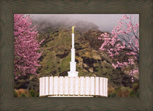 Load image into Gallery viewer, Provo Oncoming Storm