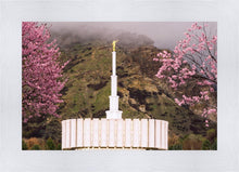 Load image into Gallery viewer, Provo Oncoming Storm