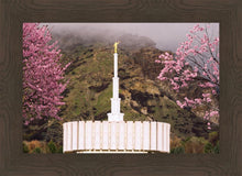 Load image into Gallery viewer, Provo Oncoming Storm