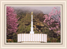 Load image into Gallery viewer, Provo Oncoming Storm