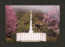 Load image into Gallery viewer, Provo Oncoming Storm