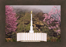 Load image into Gallery viewer, Provo Oncoming Storm