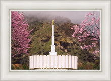 Load image into Gallery viewer, Provo Oncoming Storm