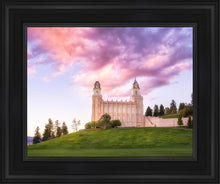 Load image into Gallery viewer, Manti Cotton Candy