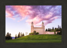 Load image into Gallery viewer, Manti Cotton Candy
