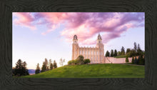 Load image into Gallery viewer, Manti Cotton Candy