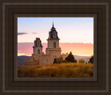 Load image into Gallery viewer, Manti His Call - Reap Where You Stand