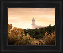 Load image into Gallery viewer, Cedar City Golden