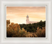 Load image into Gallery viewer, Cedar City Golden