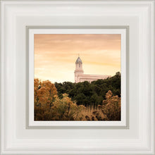 Load image into Gallery viewer, Cedar City Golden
