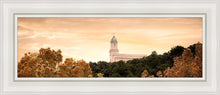 Load image into Gallery viewer, Cedar City Golden