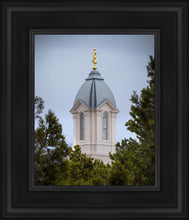 Load image into Gallery viewer, Cedar City Detail
