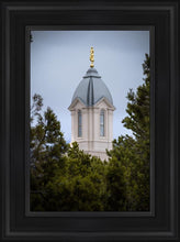 Load image into Gallery viewer, Cedar City Detail