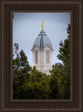 Load image into Gallery viewer, Cedar City Detail