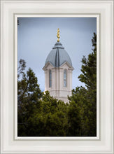 Load image into Gallery viewer, Cedar City Detail