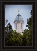 Load image into Gallery viewer, Cedar City Detail