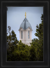 Load image into Gallery viewer, Cedar City Detail